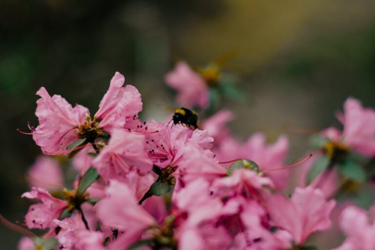bee hotels for pollinators