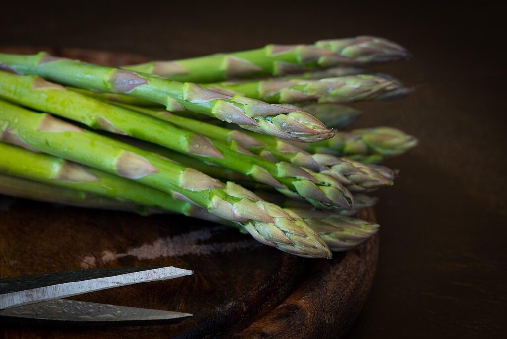 asparagus plant