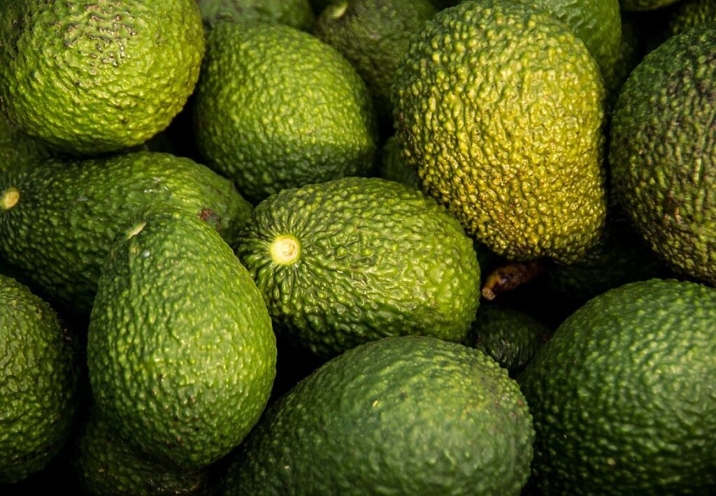 Avocado in water