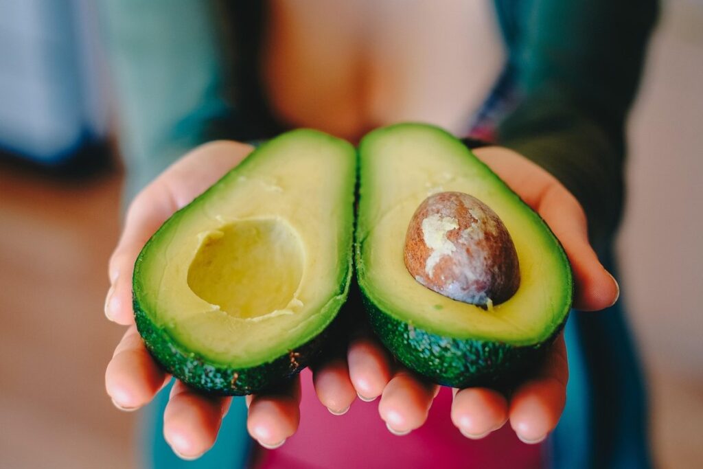 how to sprout an avocado seed