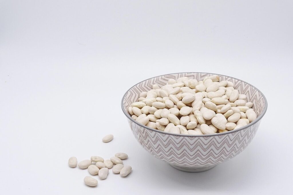 do beans add nitrogen to soil