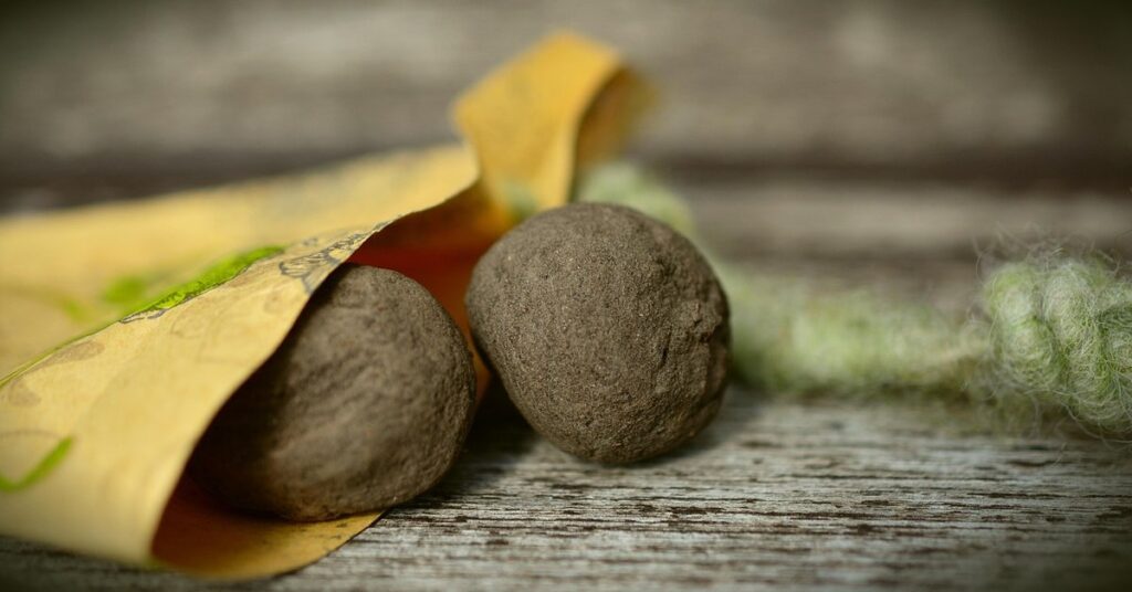 bee seed bombs in gardens