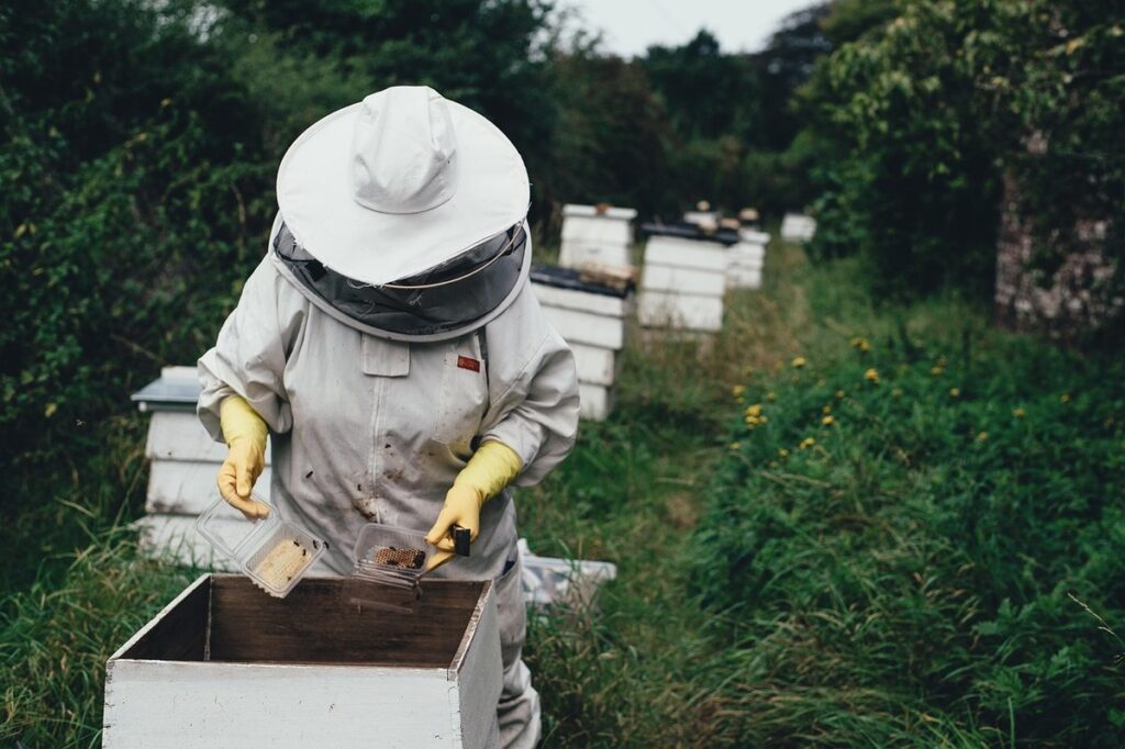 how is honey made