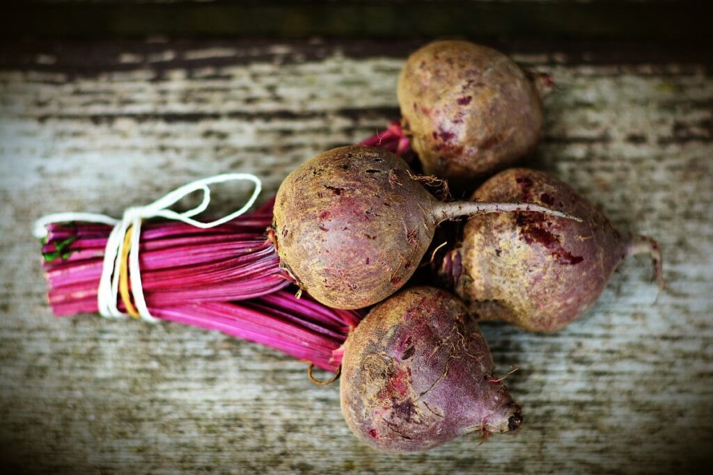 beetroot plant