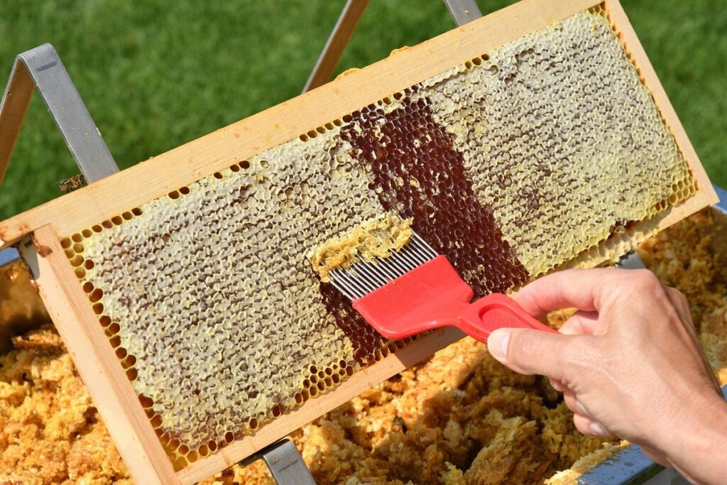 benefits of honey comb