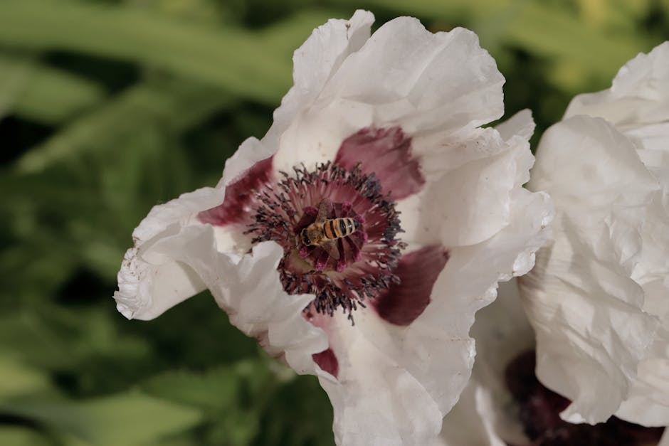 best flowers for spring bee nutrition