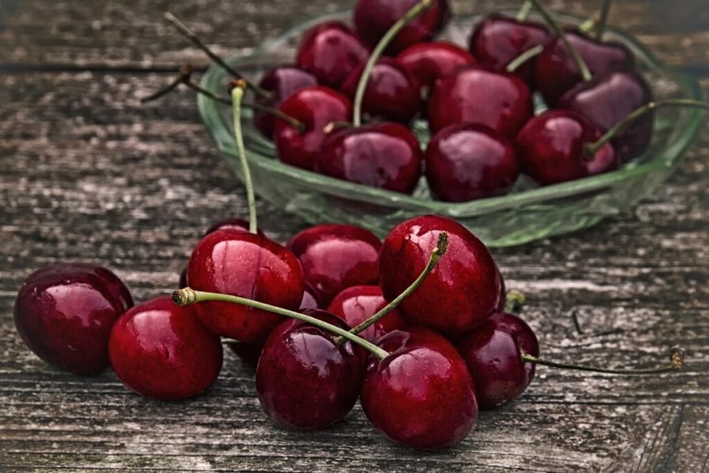 birds eat cherries