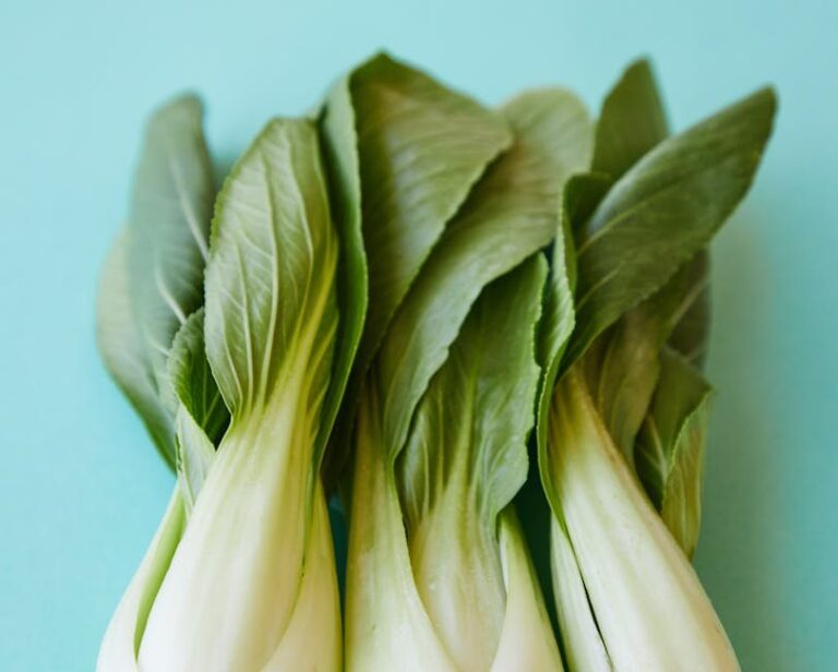 bok choy plant spacing