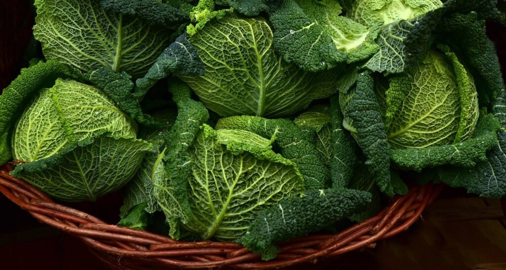 brassica family vegetables list