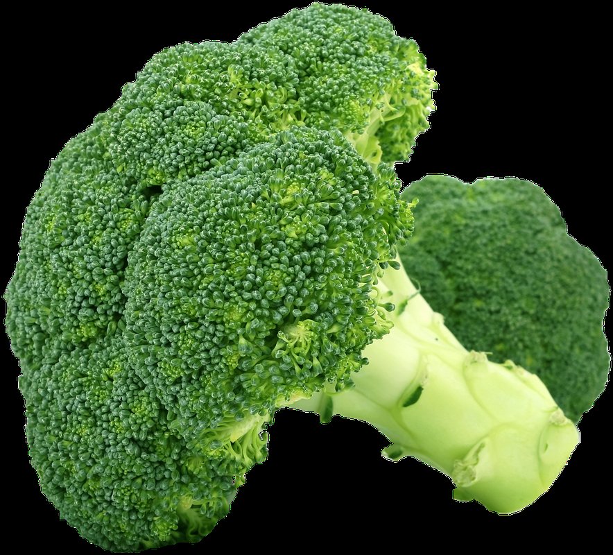 broccoli bloomed