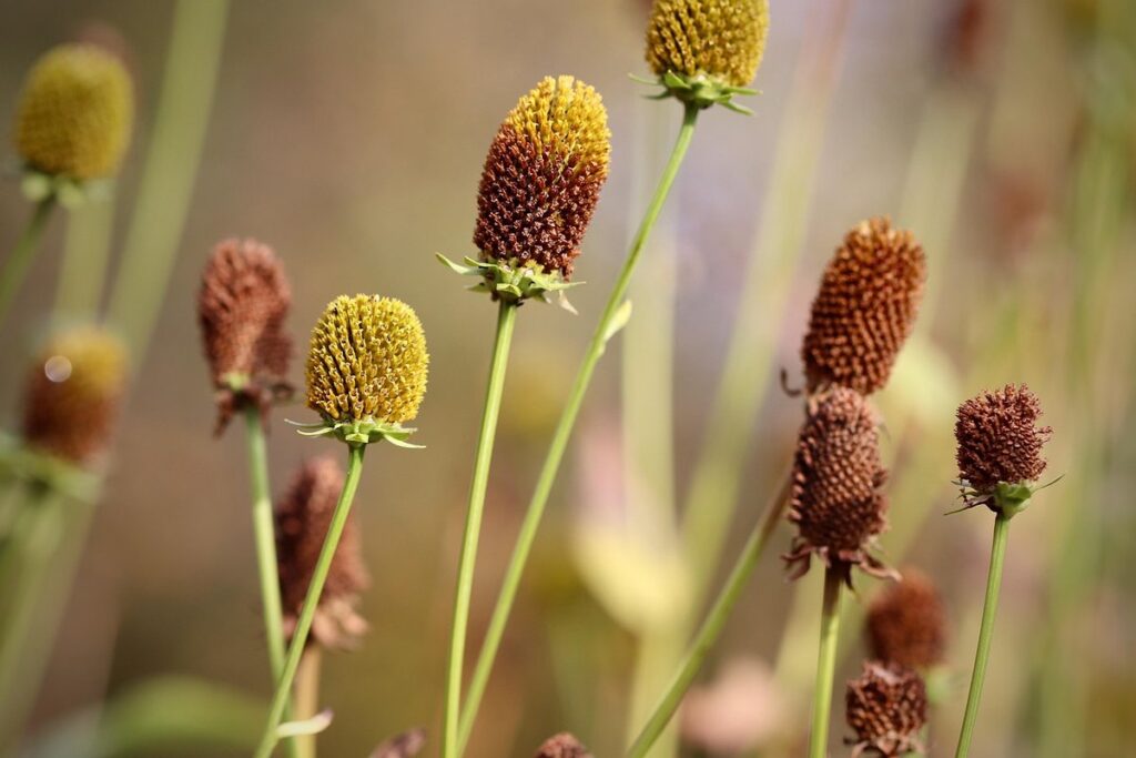 careers in horticulture