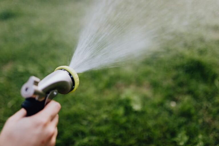 chop and drop gardening