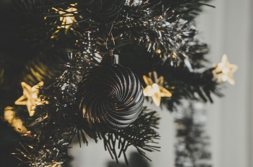 how to grow christmas trees in gardens