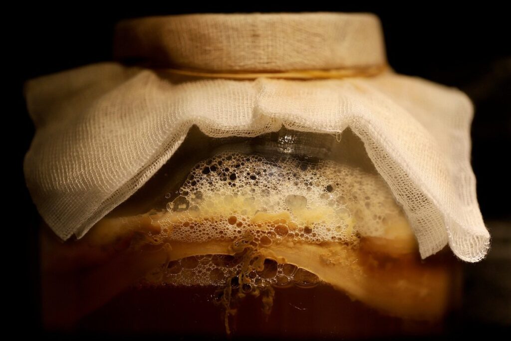 how to ferment cocoa beans