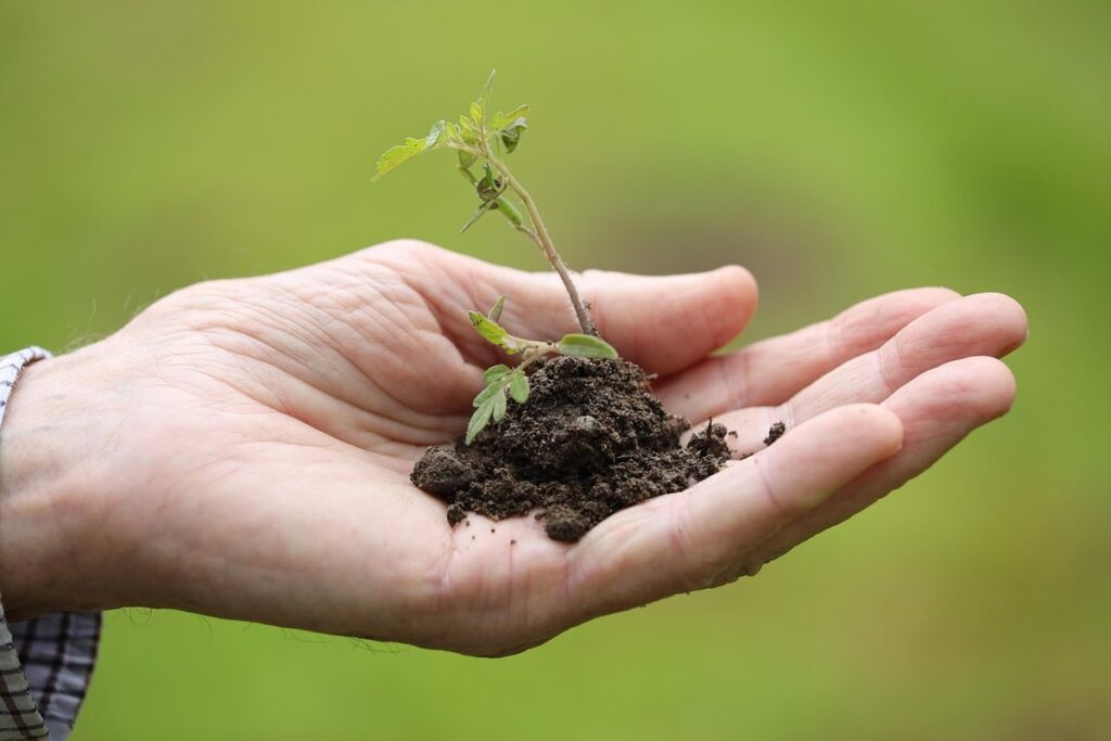 companion planting benefits for vegetables