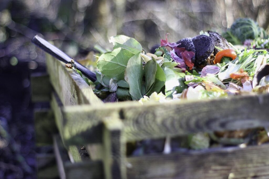 composting for plant fertilizer