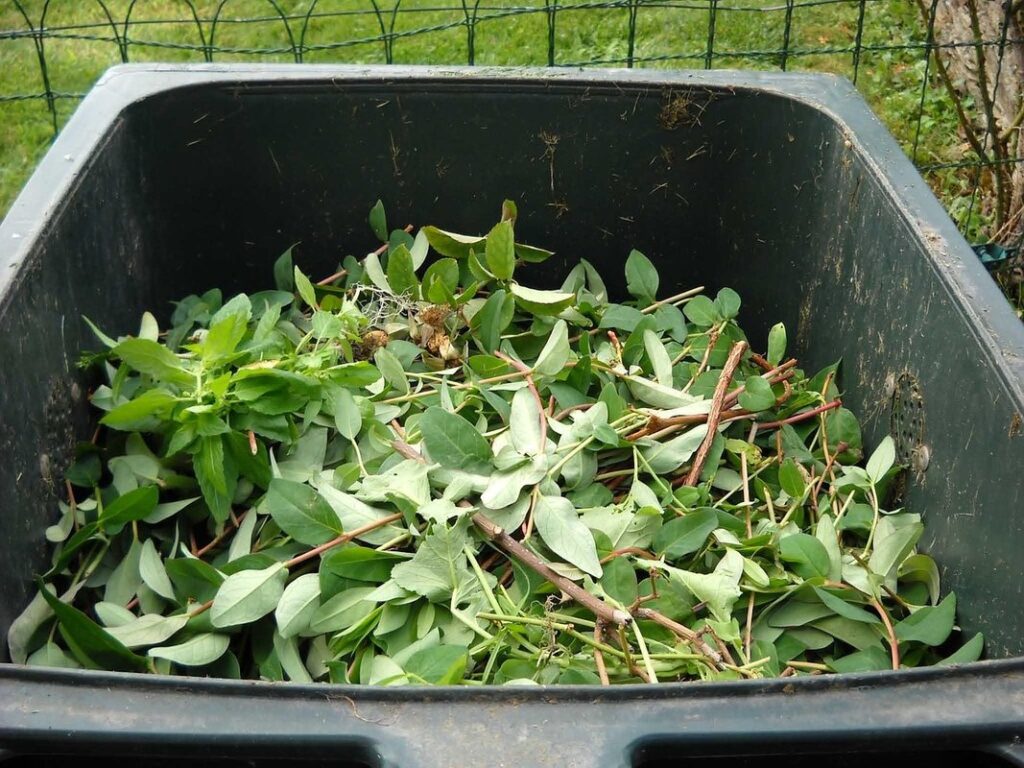 composting with chickens