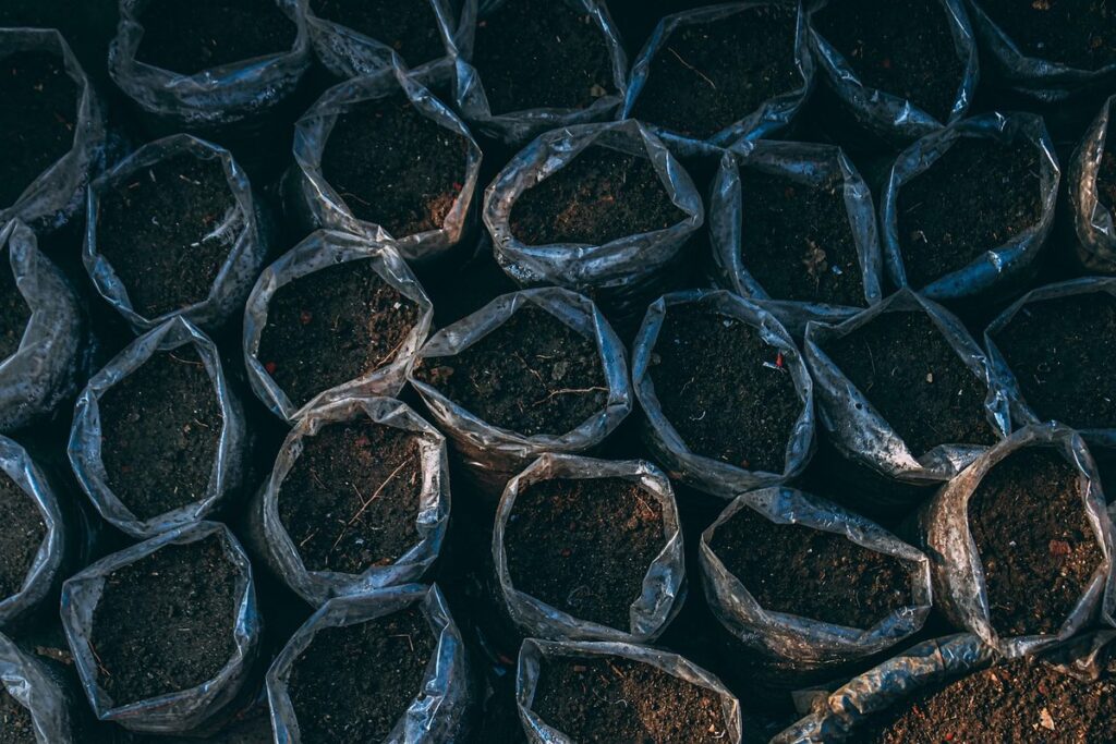 container vegetable gardening tips