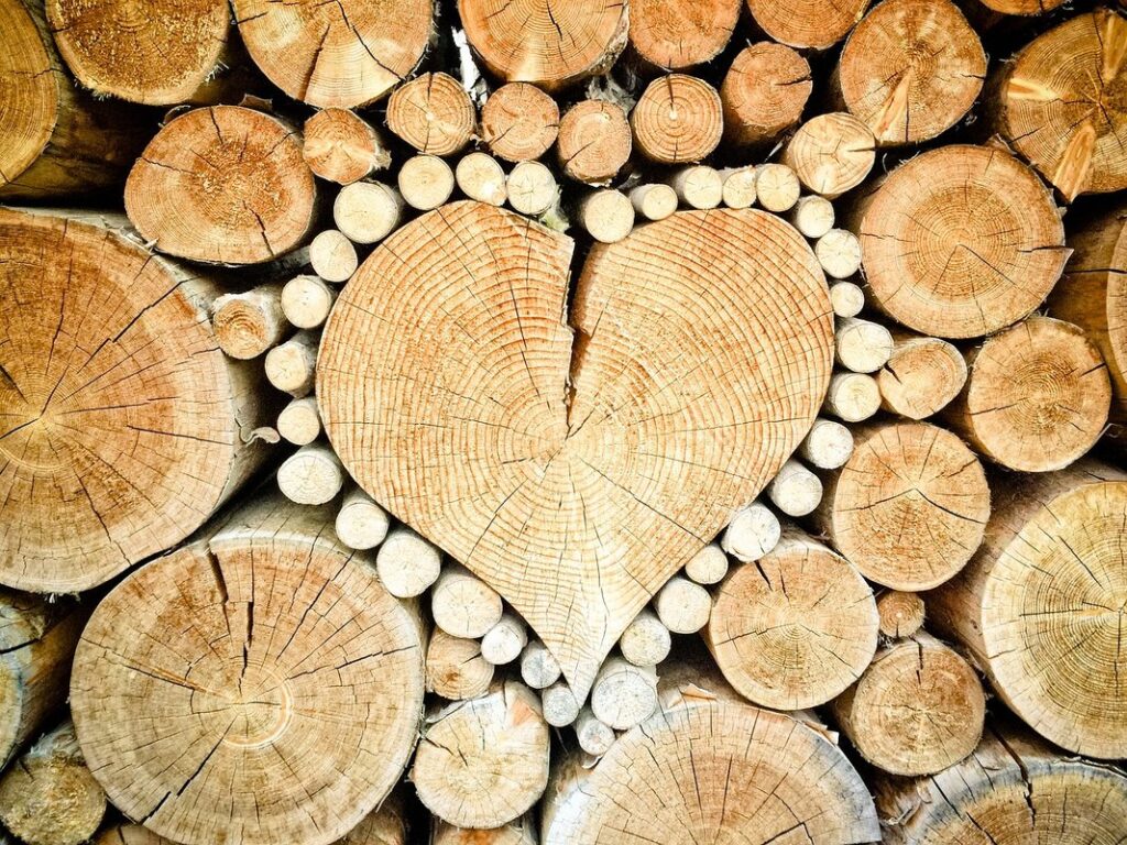 coppice definition in forestry