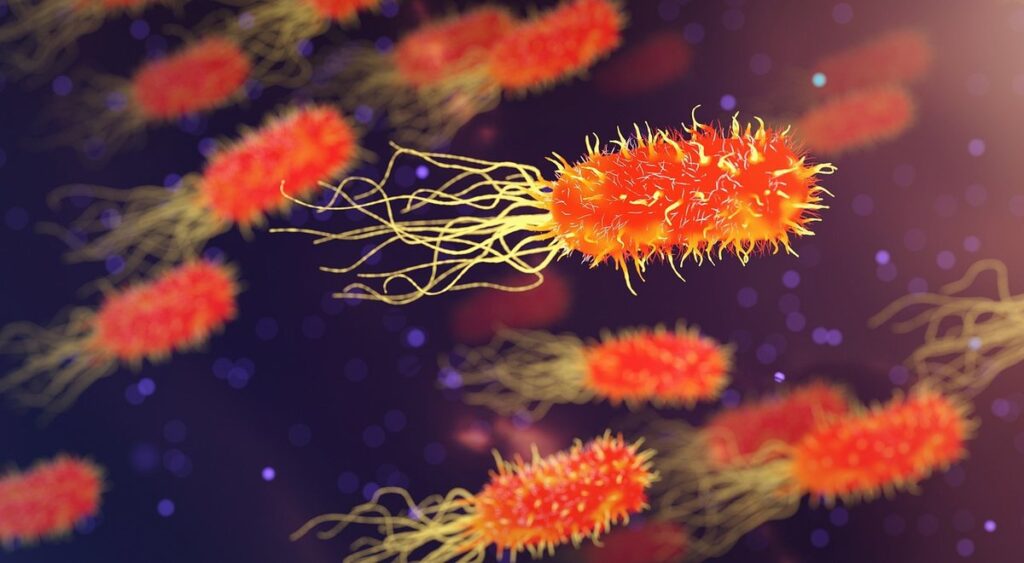 disease management with organic solutions