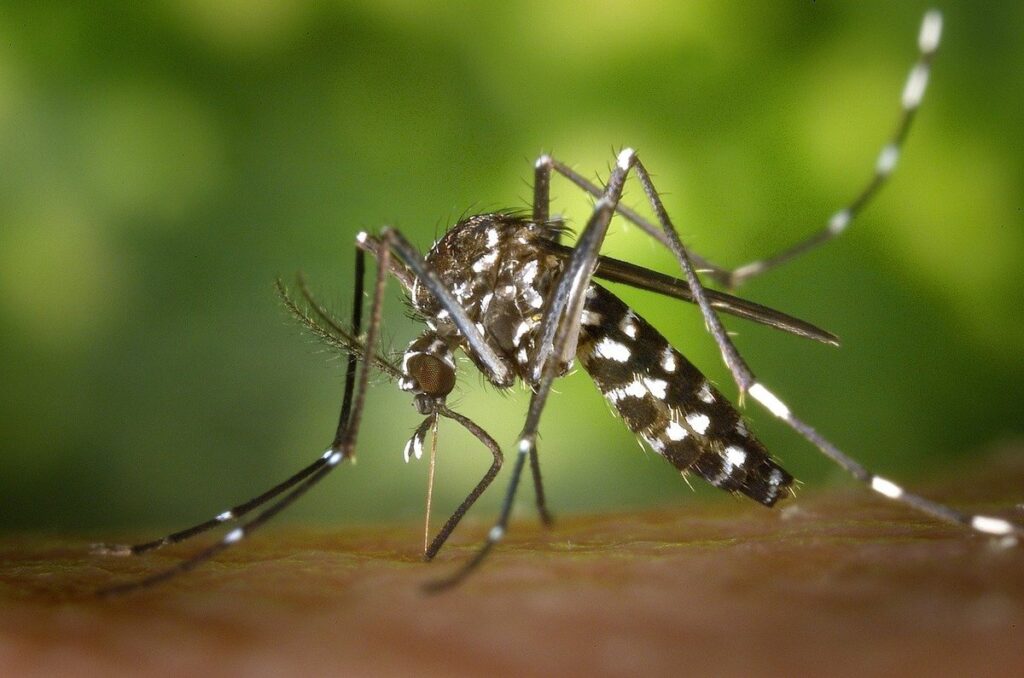 does mosquito spray kill bees