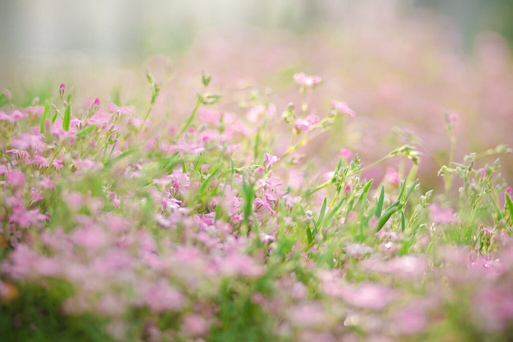 designing a low-maintenance flower bed