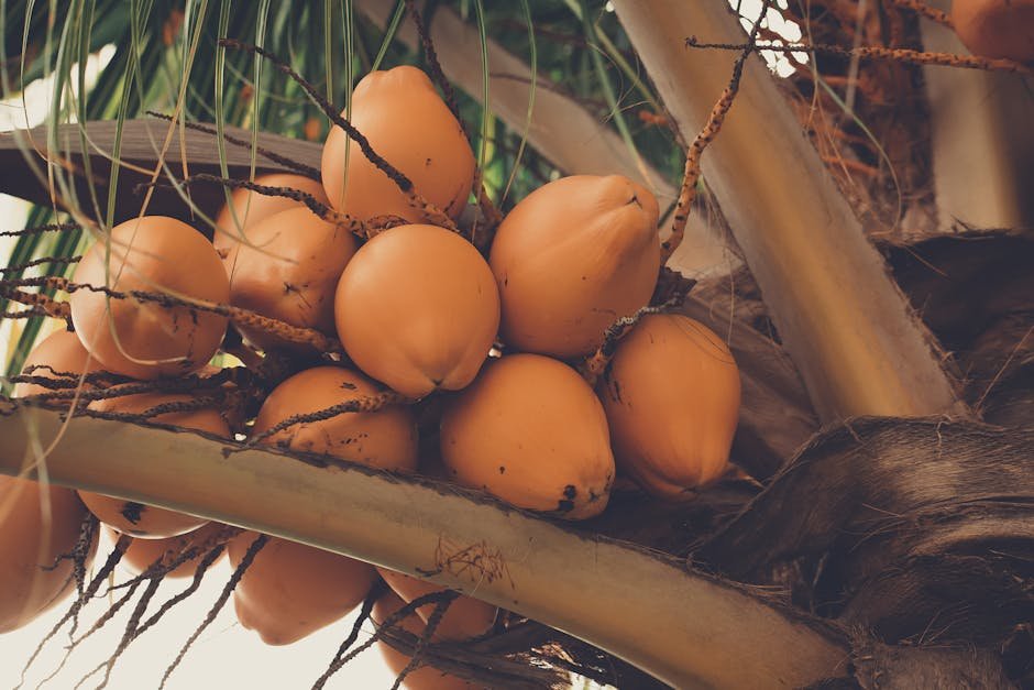 Fruits of Trinidad and Tobago -> Caribbean Fruits