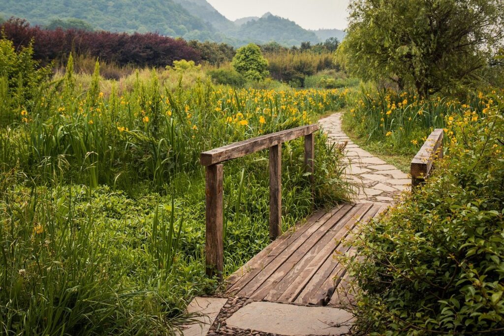 mulching garden paths