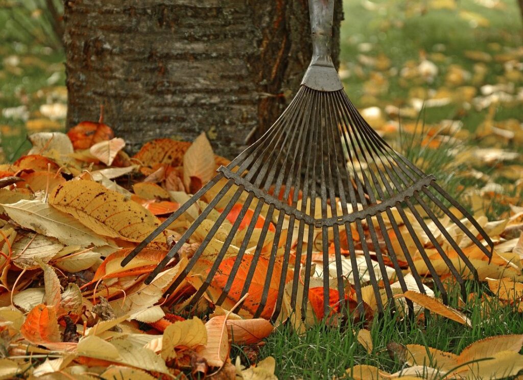 when is it safe to rake leaves in spring