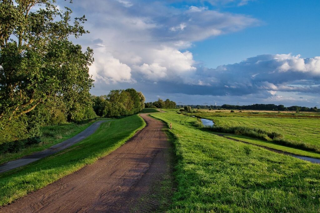 grass paths