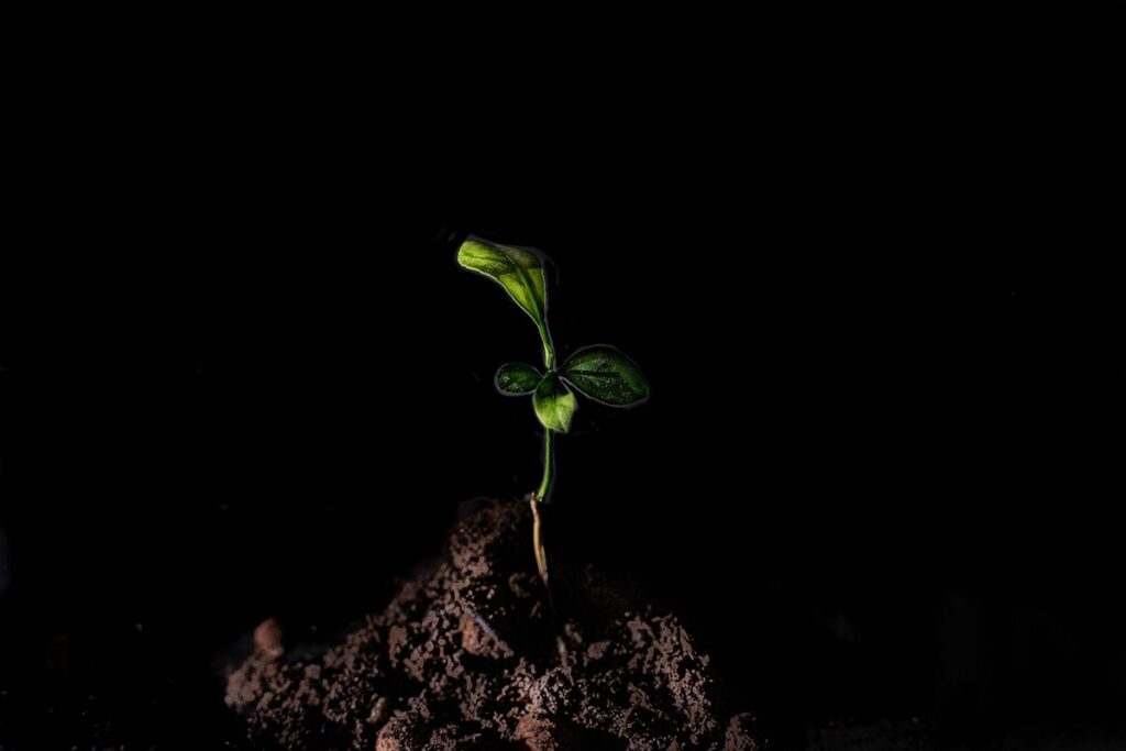 grow cutting