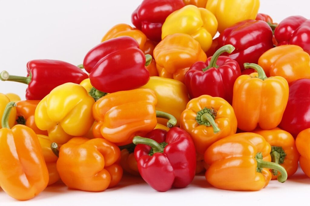 growing pimentos