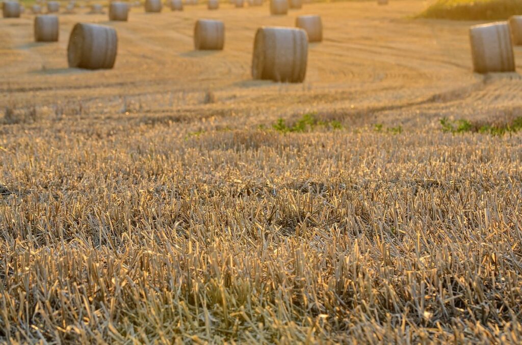 harvest methods