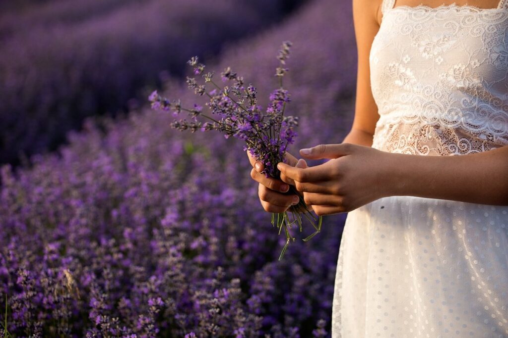 herb gardening basics for beginners