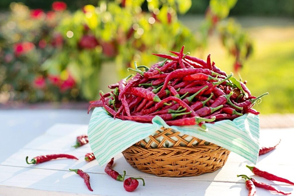 hot pepper fertilizer