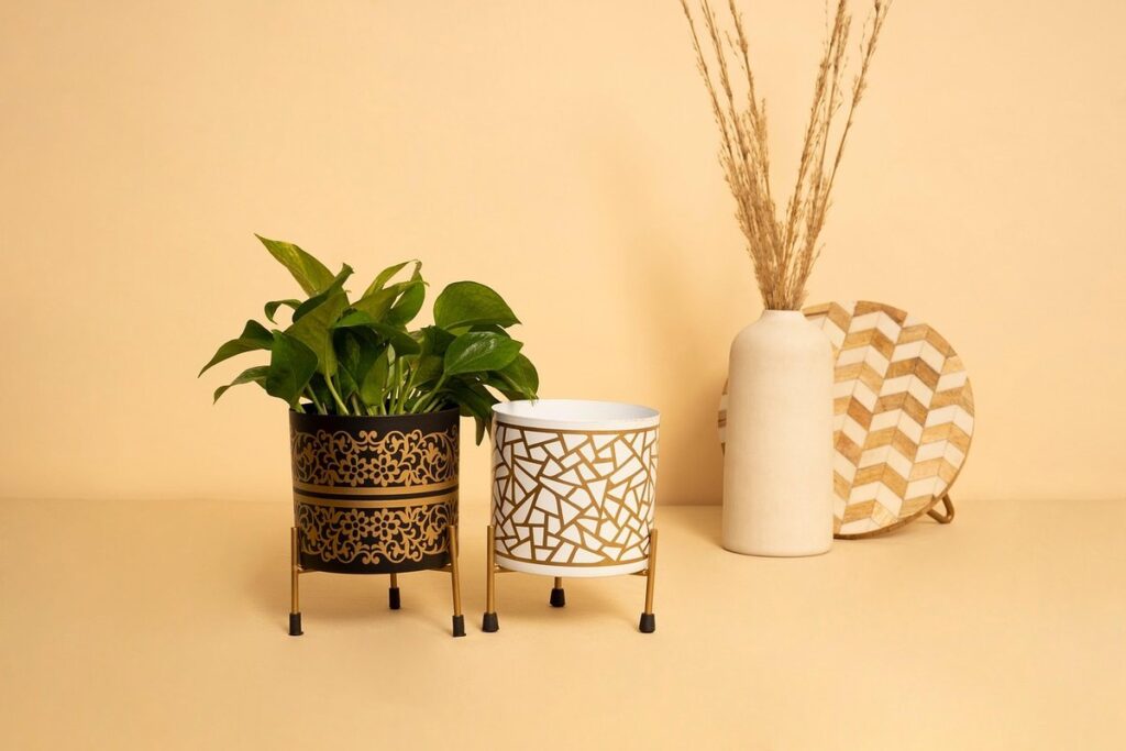 hanging planter indoor ideas