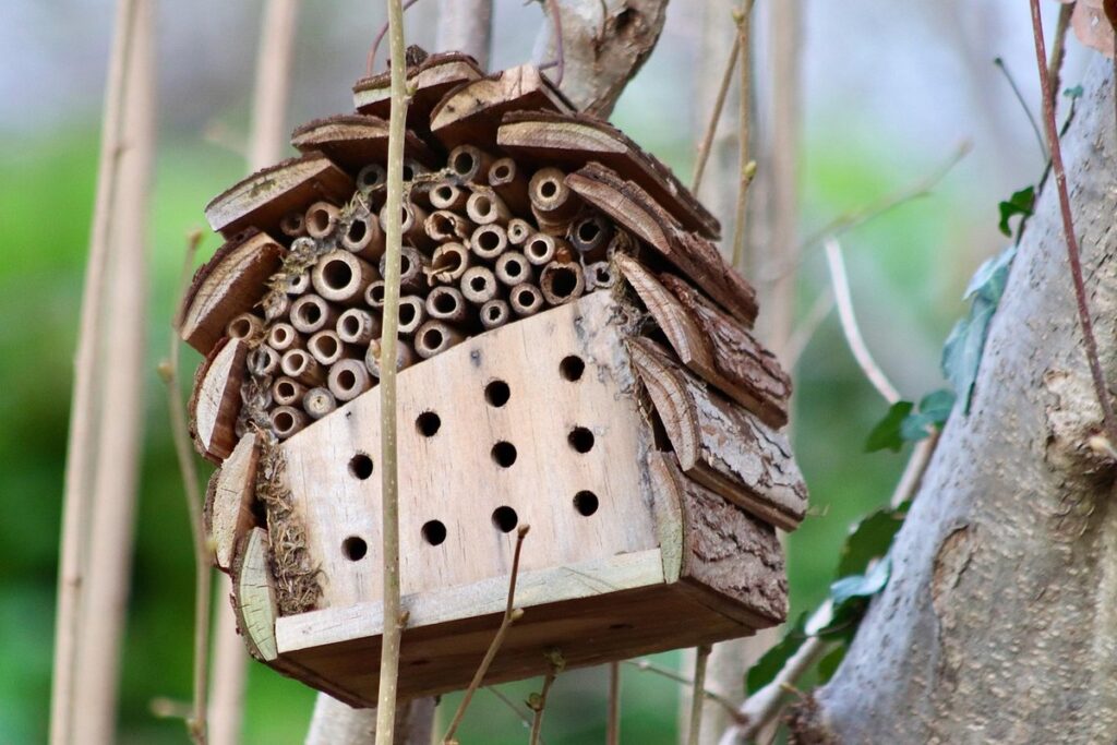 how to keep insects from eating plants