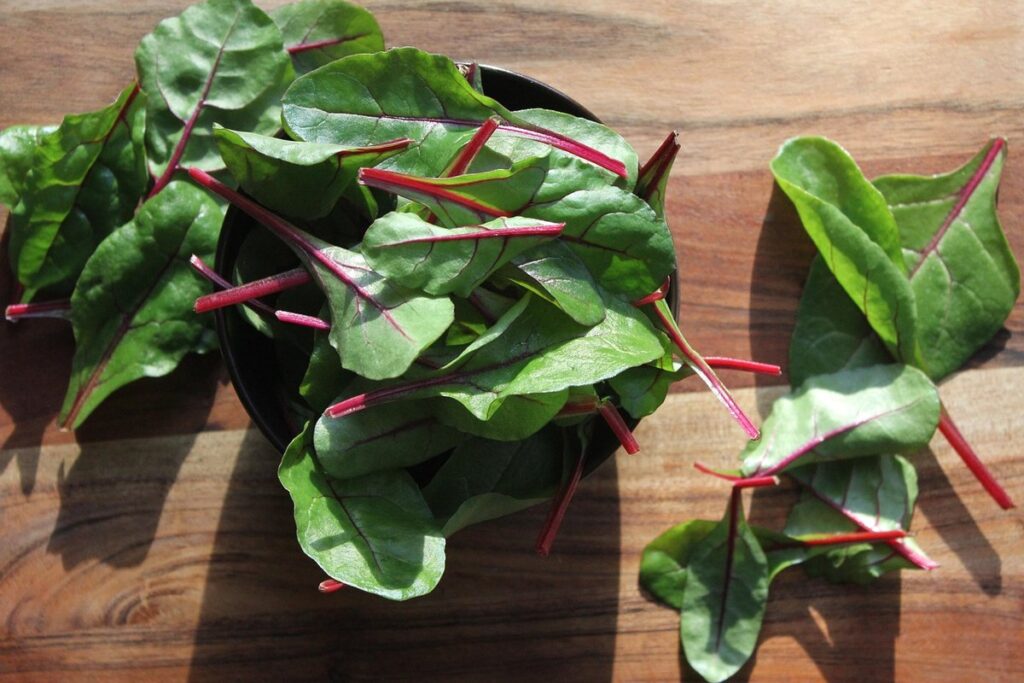 is chard perennial