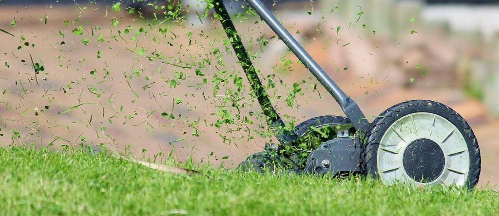 hand tools to cut grass