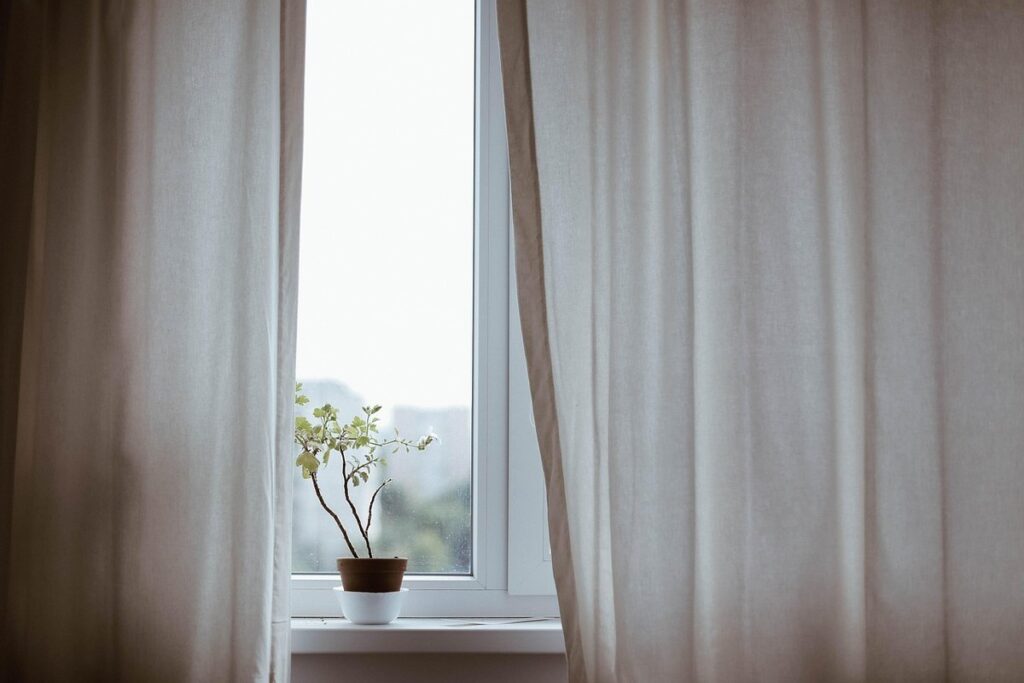 misting indoor pollinator-friendly plants