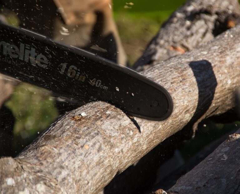 must-have pruning tools