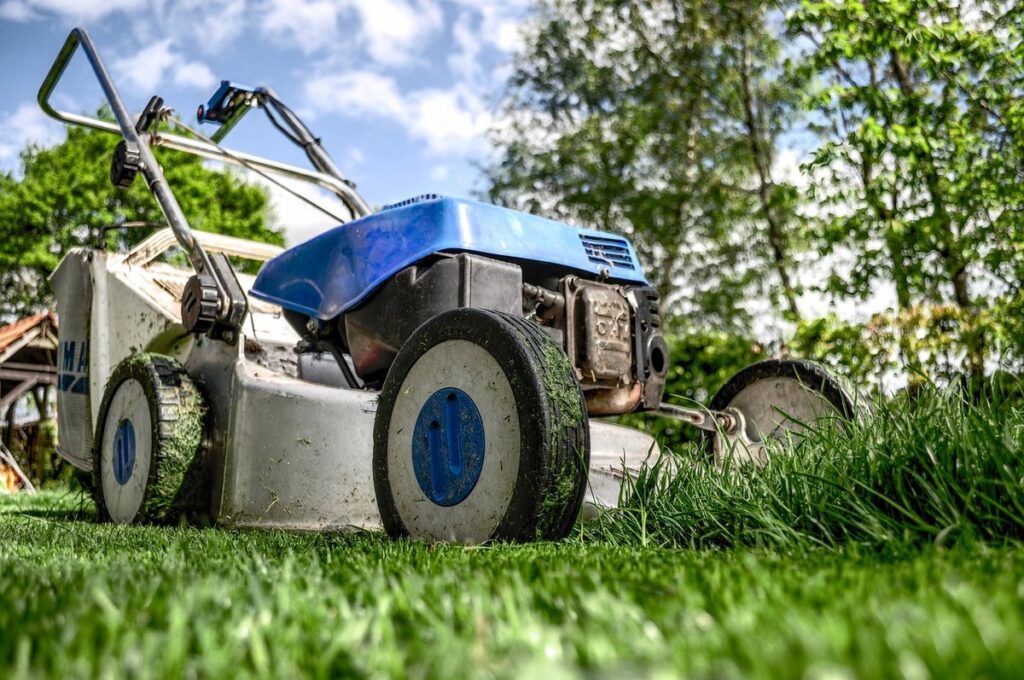 must-have tools for pollinator gardening