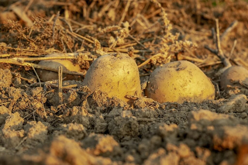 how to add nutrients to soil