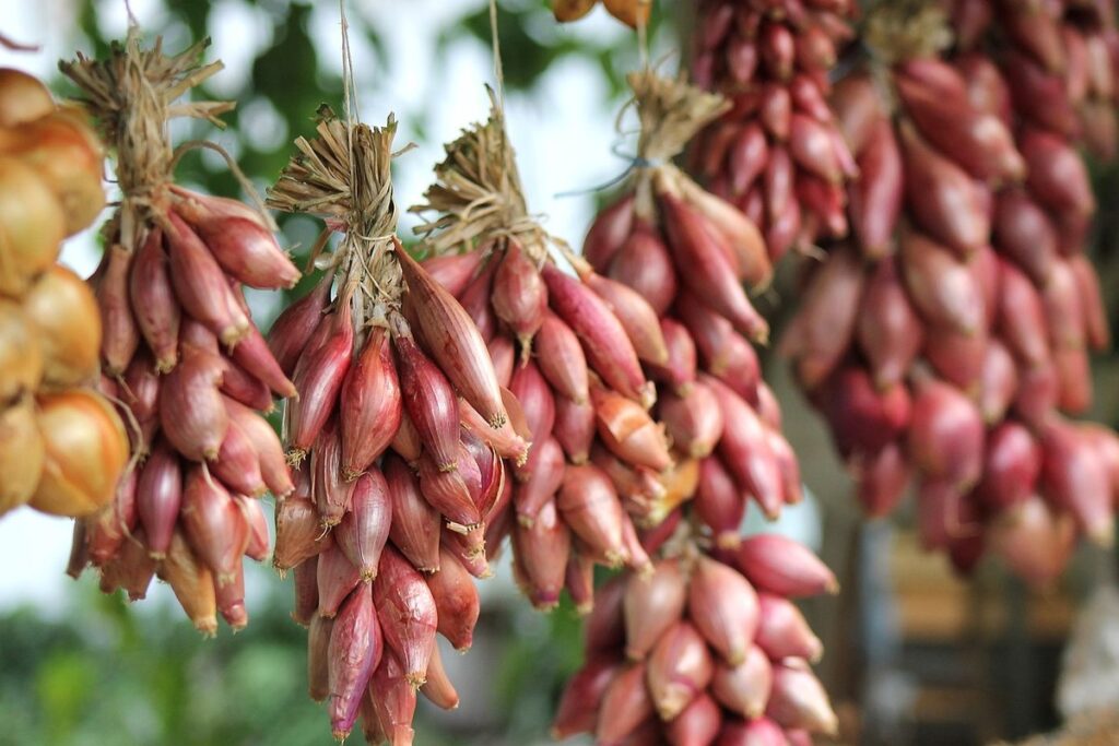organic gardening methods