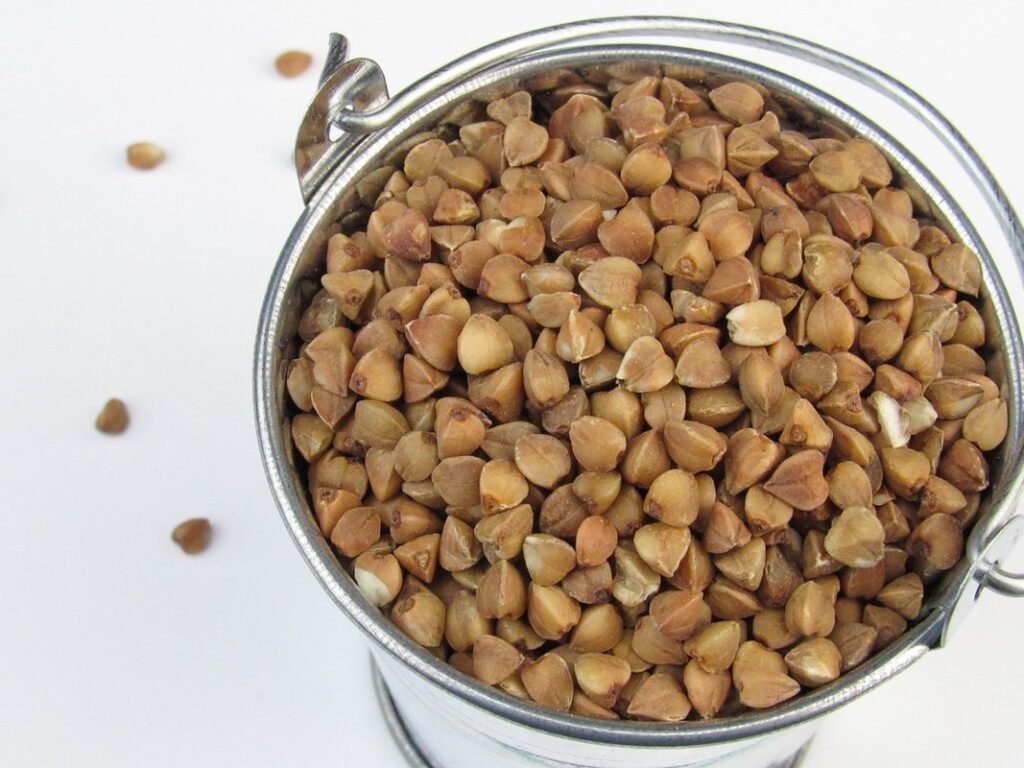 organic gardening with buckwheat