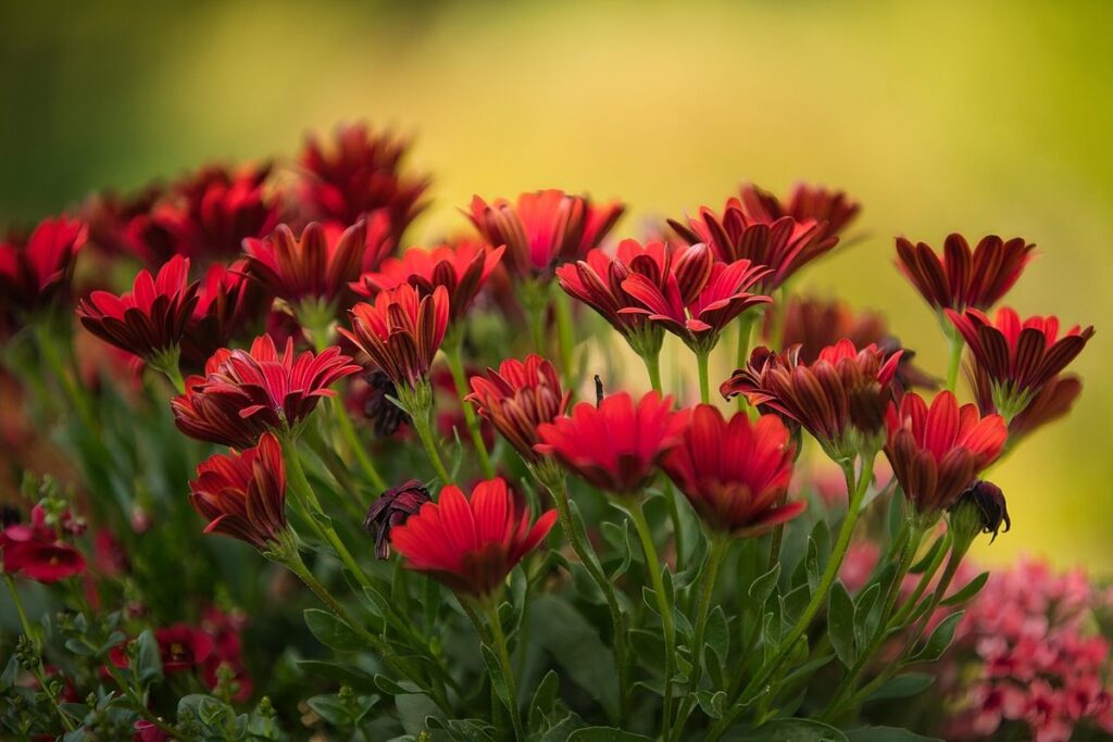outdoor gardening fundamentals