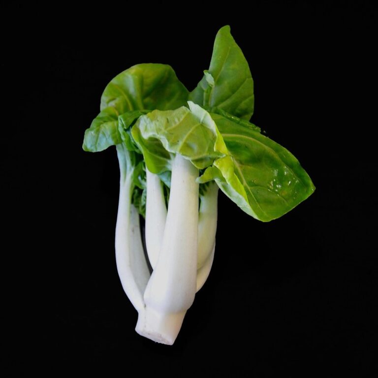 pak choi gardening