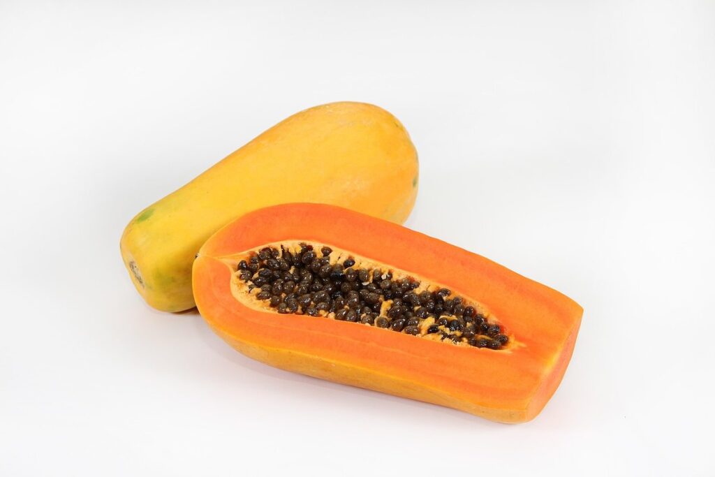 where does a papaya grow
