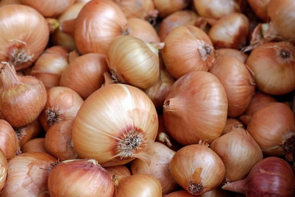 perennial root vegetables