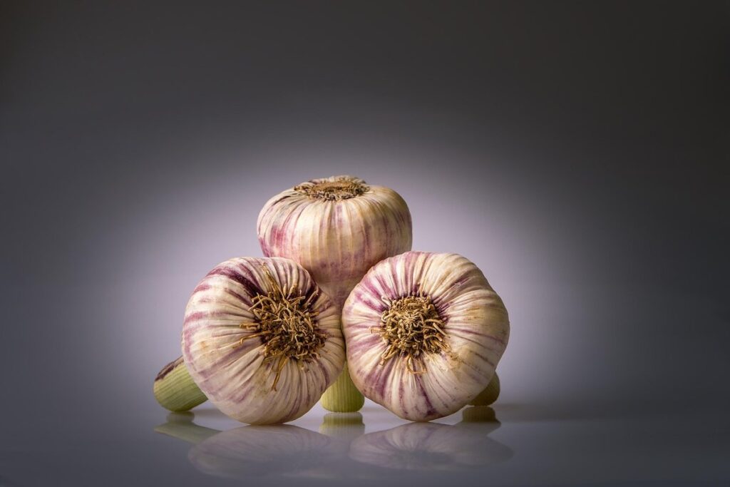 perennial vegetables